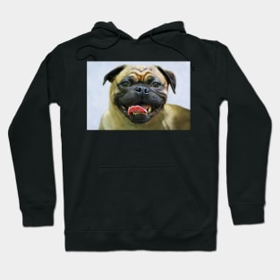 Pug Portrait Hoodie